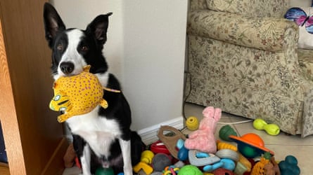 Additional article image