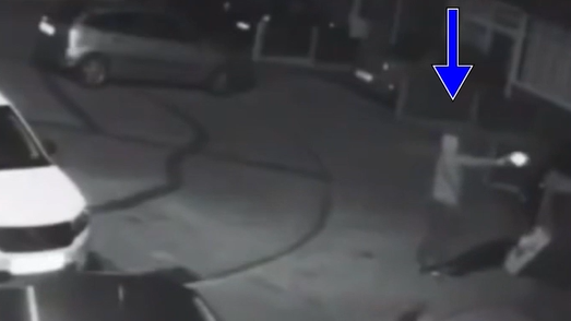 Additional article image