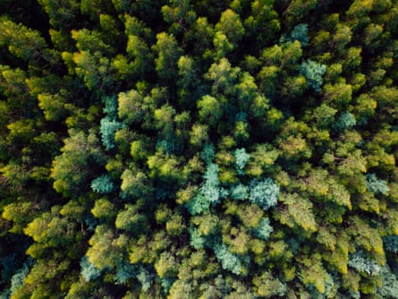 Additional article image