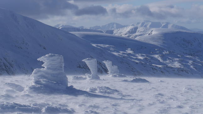 Additional article image