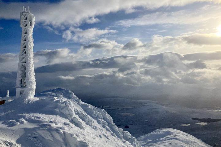 Additional article image