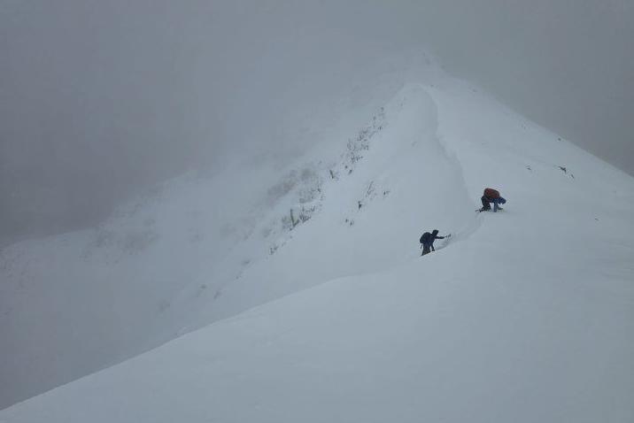 Additional article image