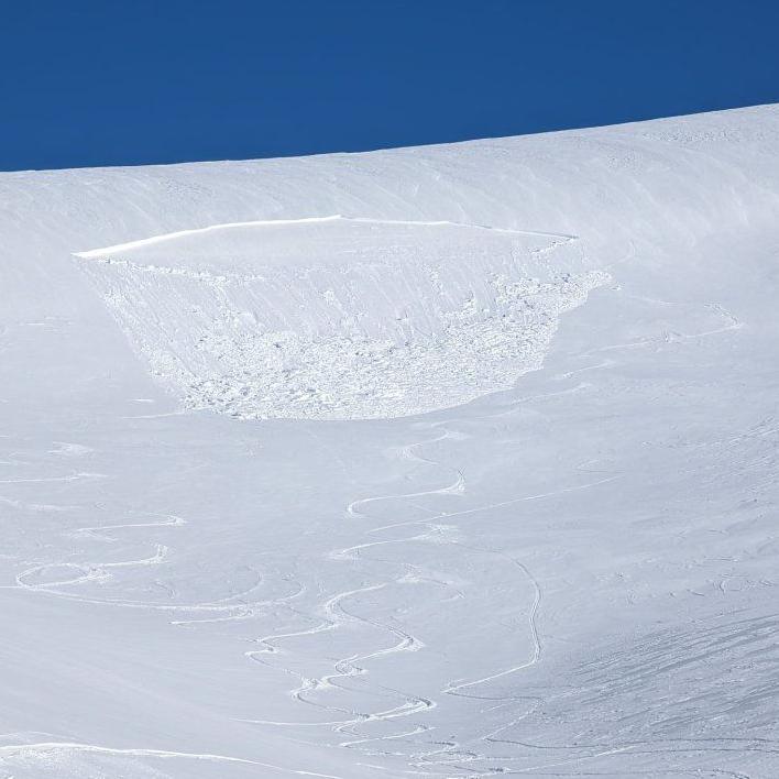 Additional article image