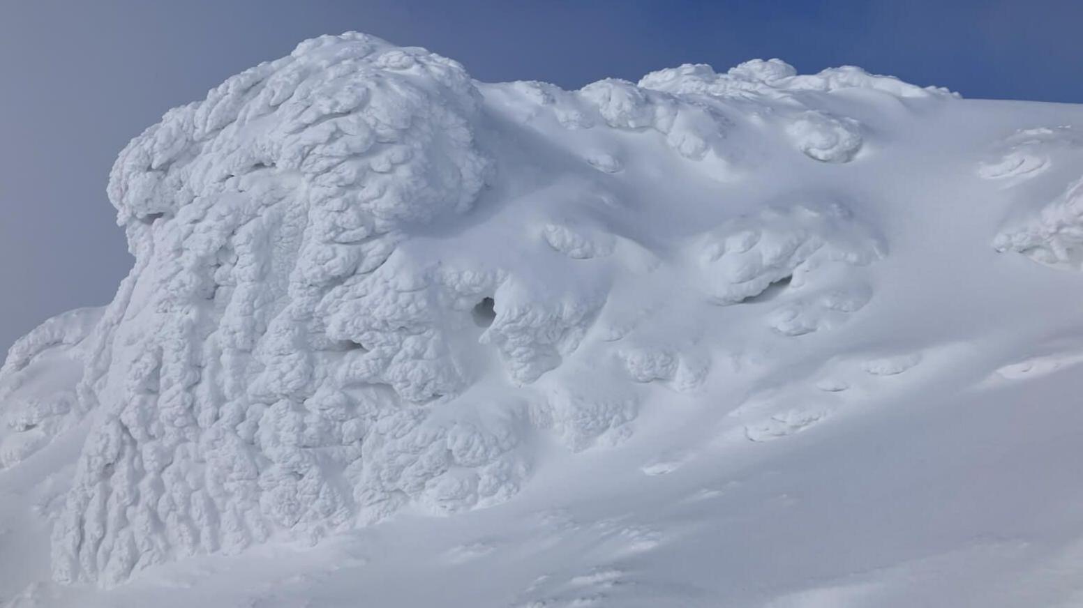 Additional article image