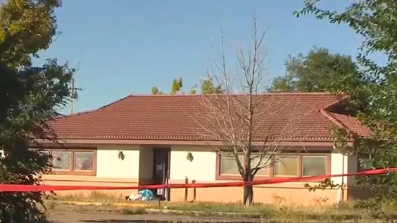 Additional article image