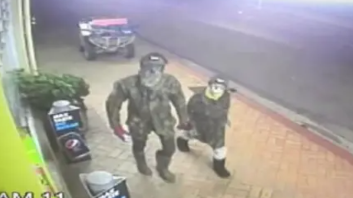 Additional article image