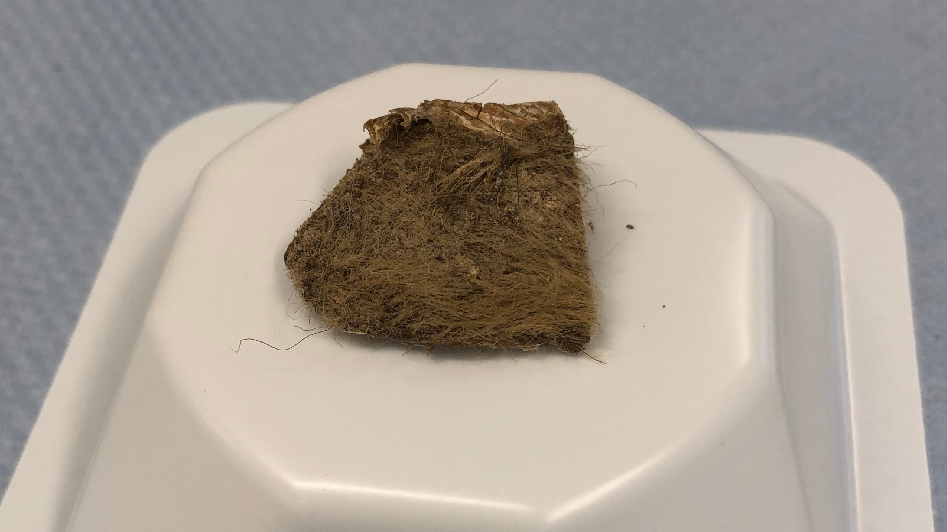 Additional article image