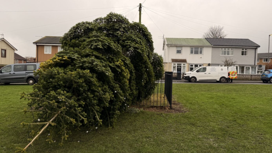 Additional article image