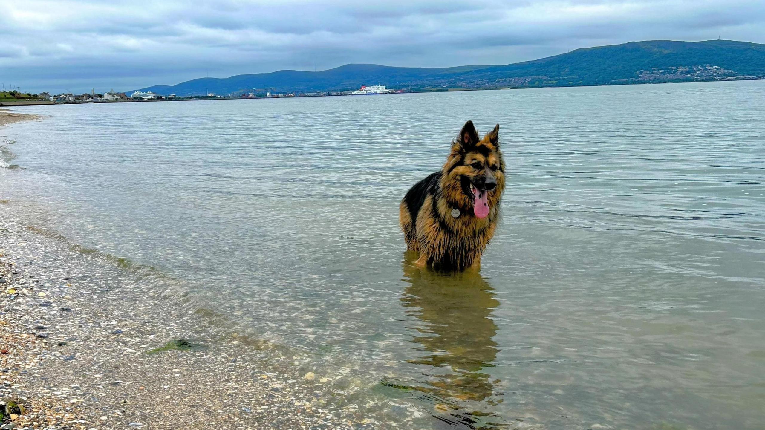 Additional article image