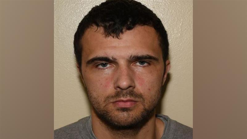 Additional article image