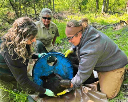 Additional article image