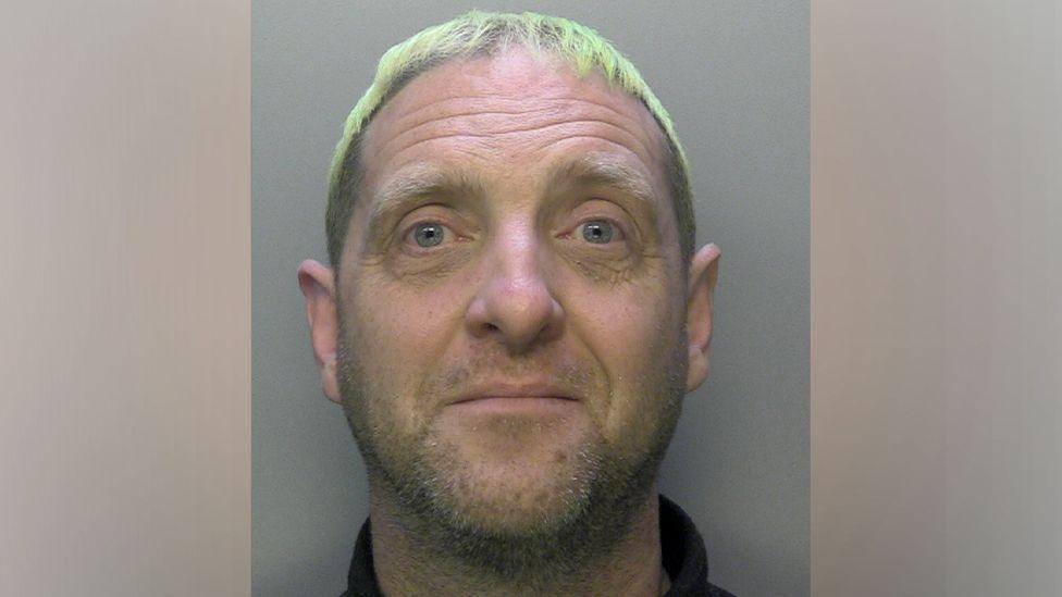 Additional article image