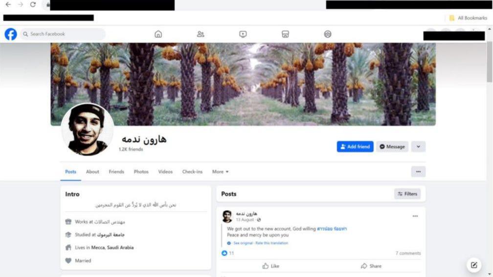 Additional article image