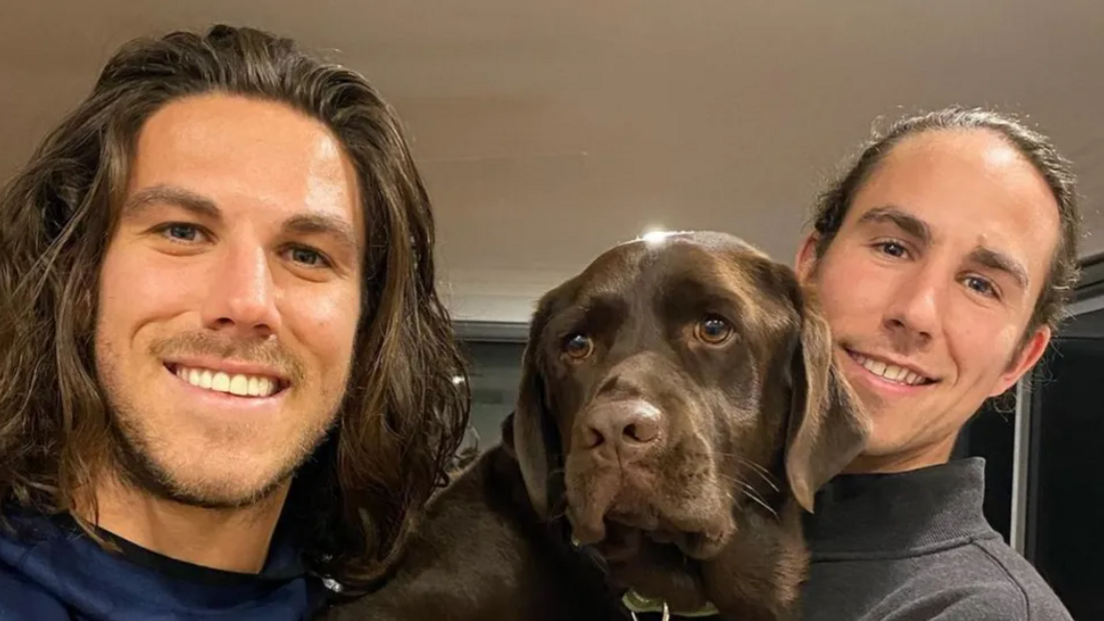 Additional article image