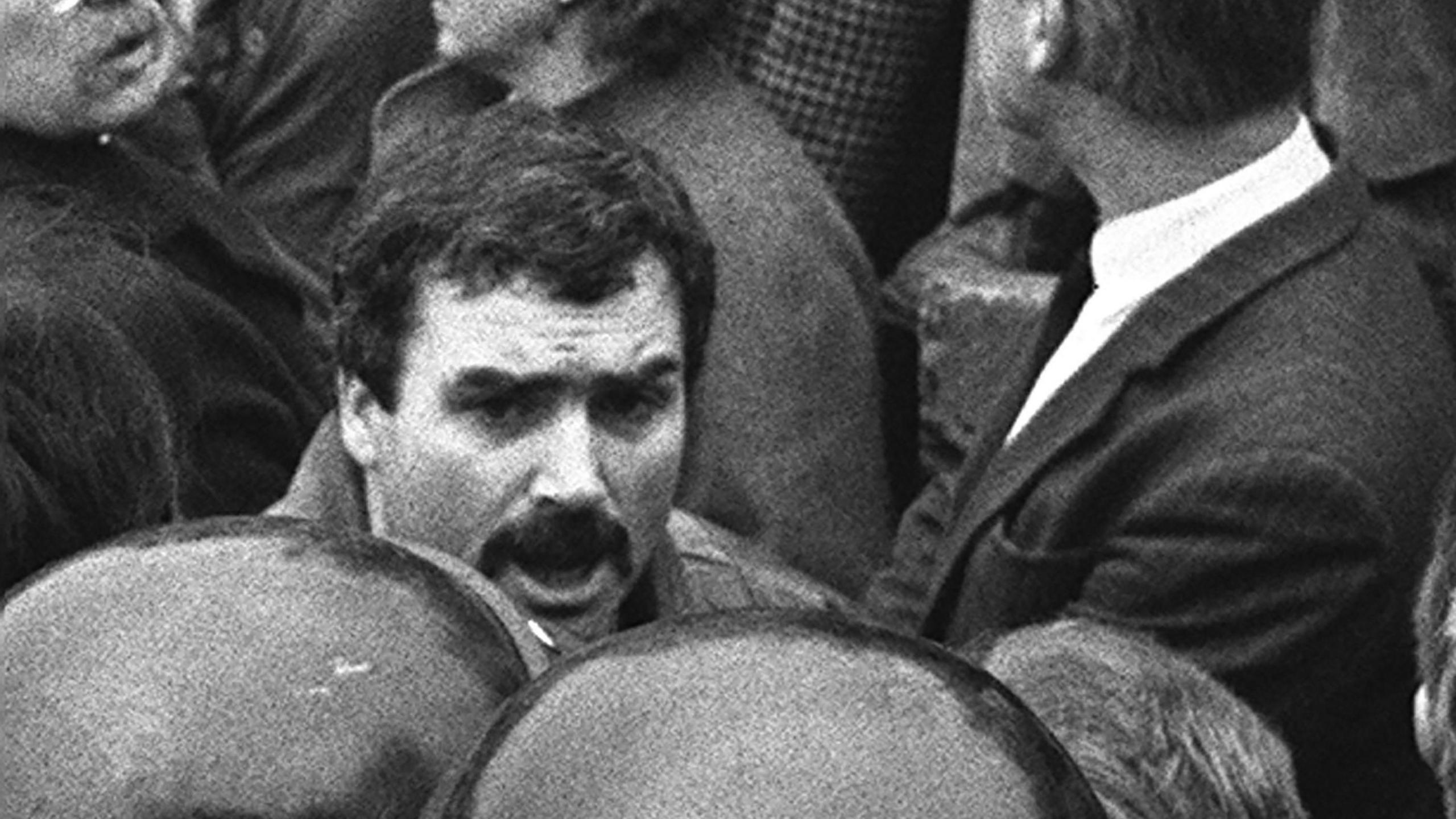 Additional article image