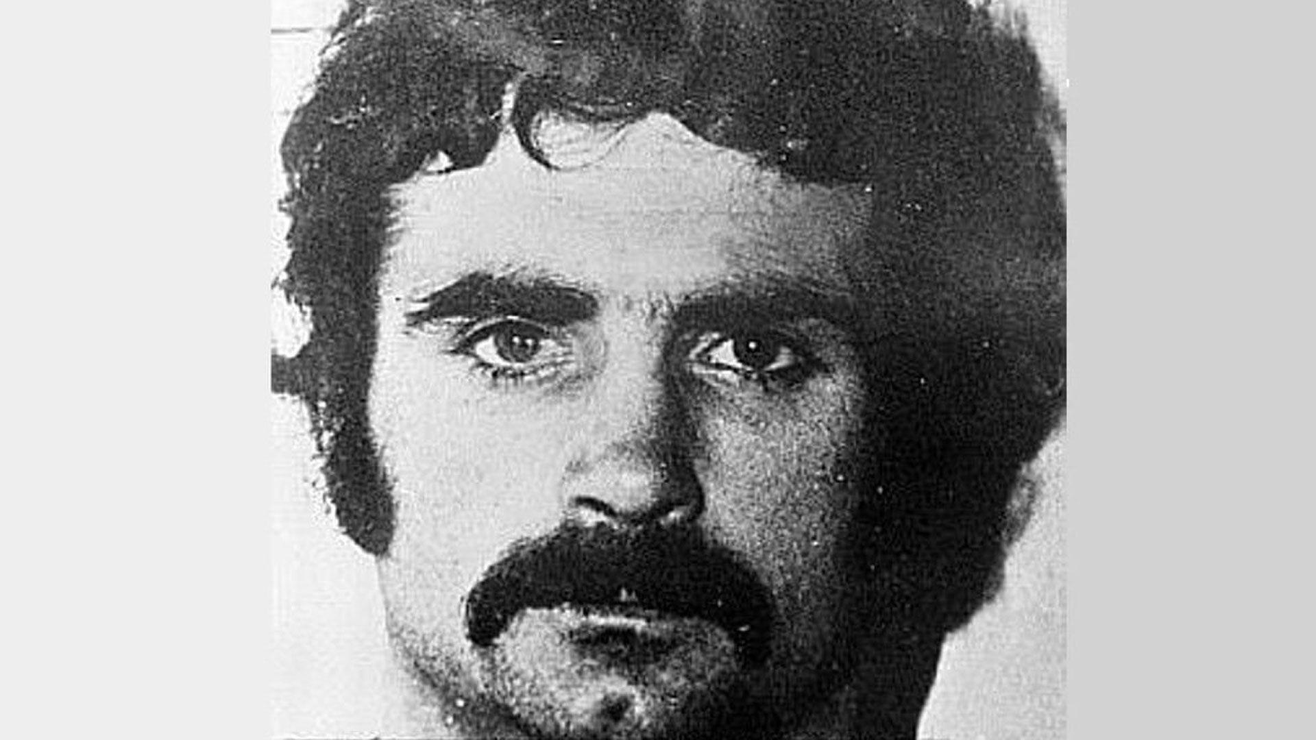 Additional article image