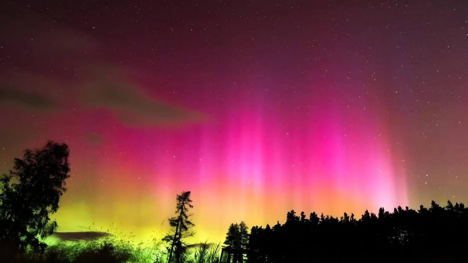 Additional article image