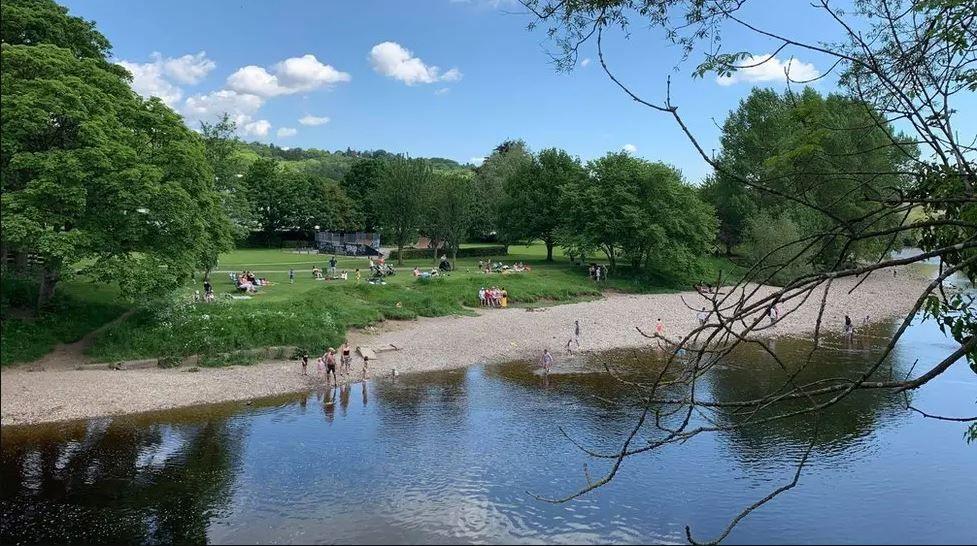 Additional article image