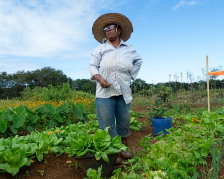 Additional article image