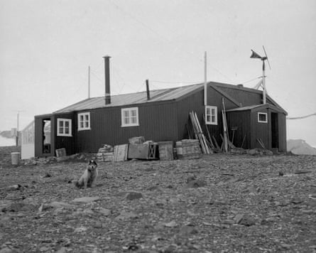 Additional article image