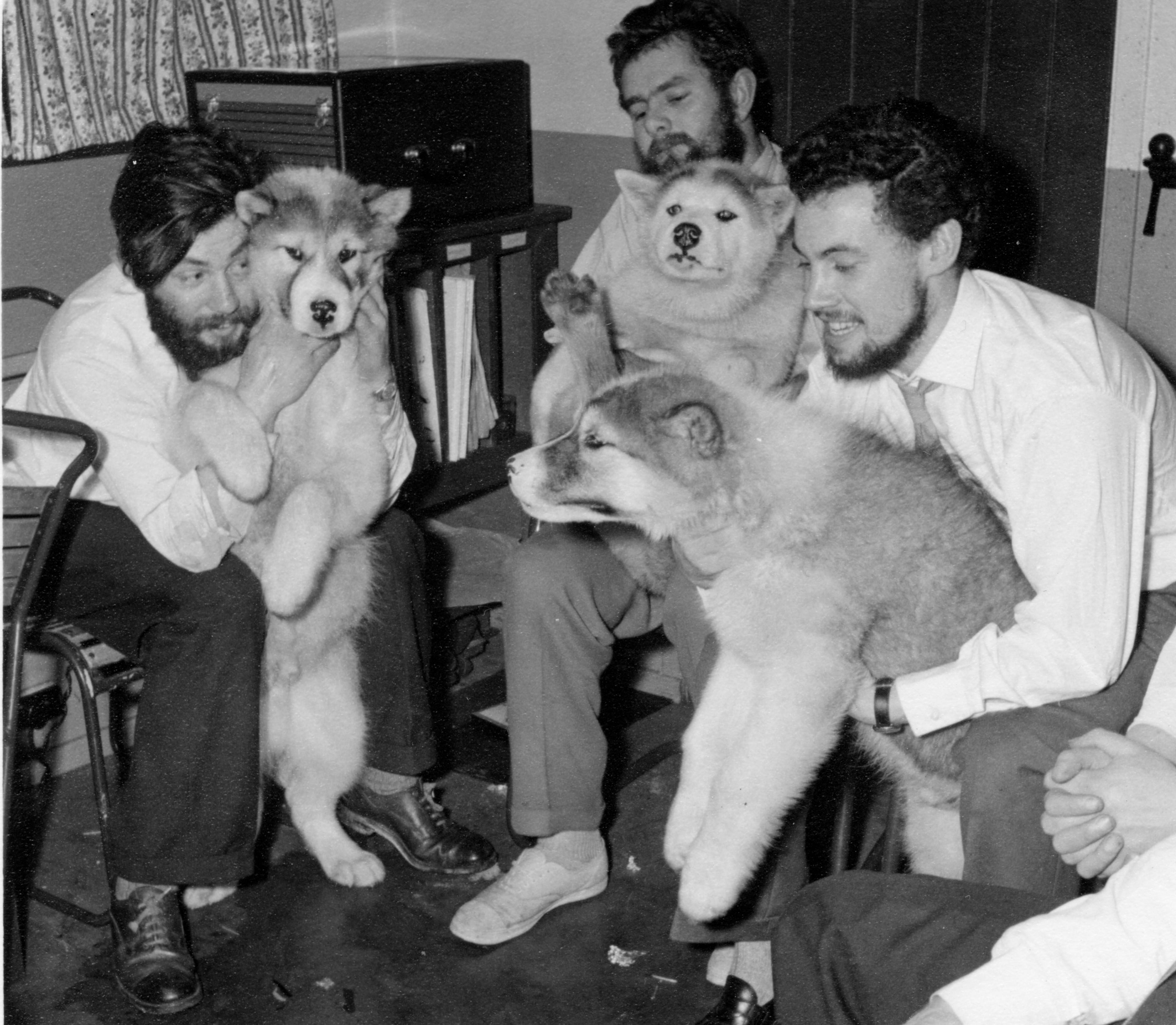 Additional article image