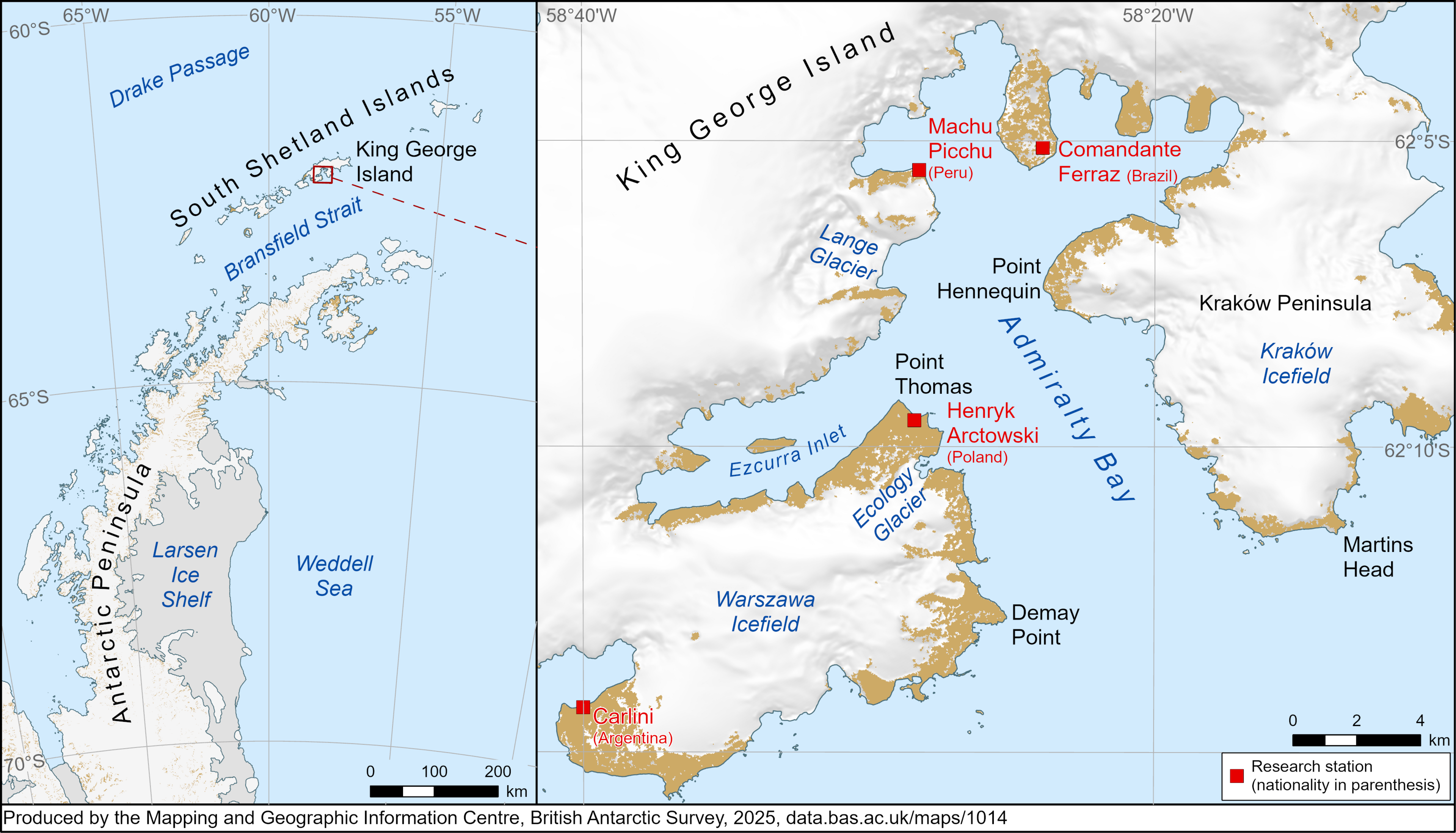 Additional article image