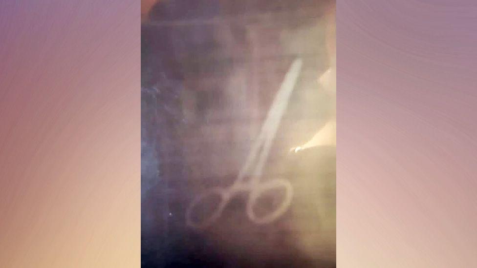 Additional article image