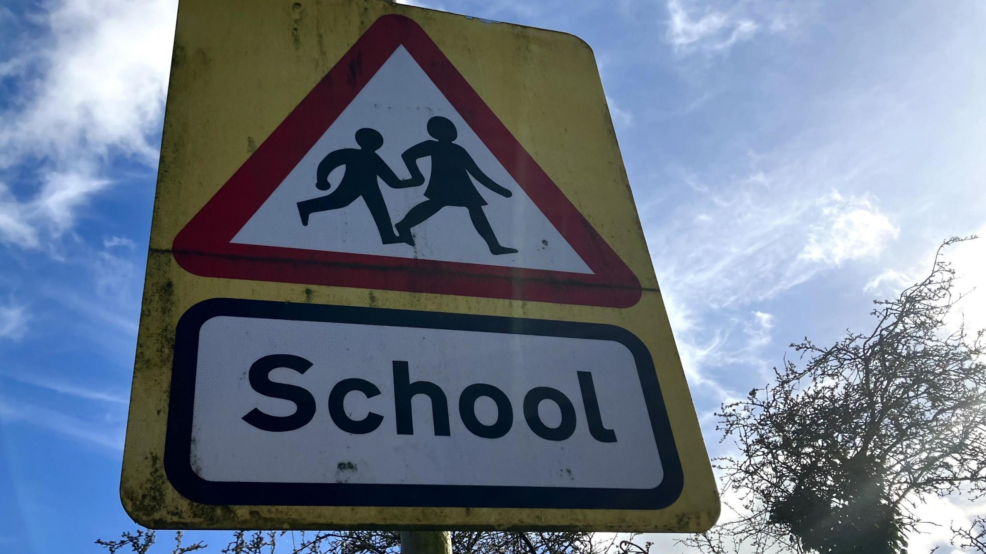 Additional article image