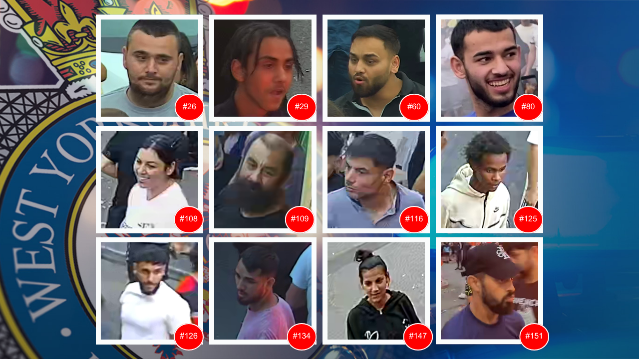 Additional article image