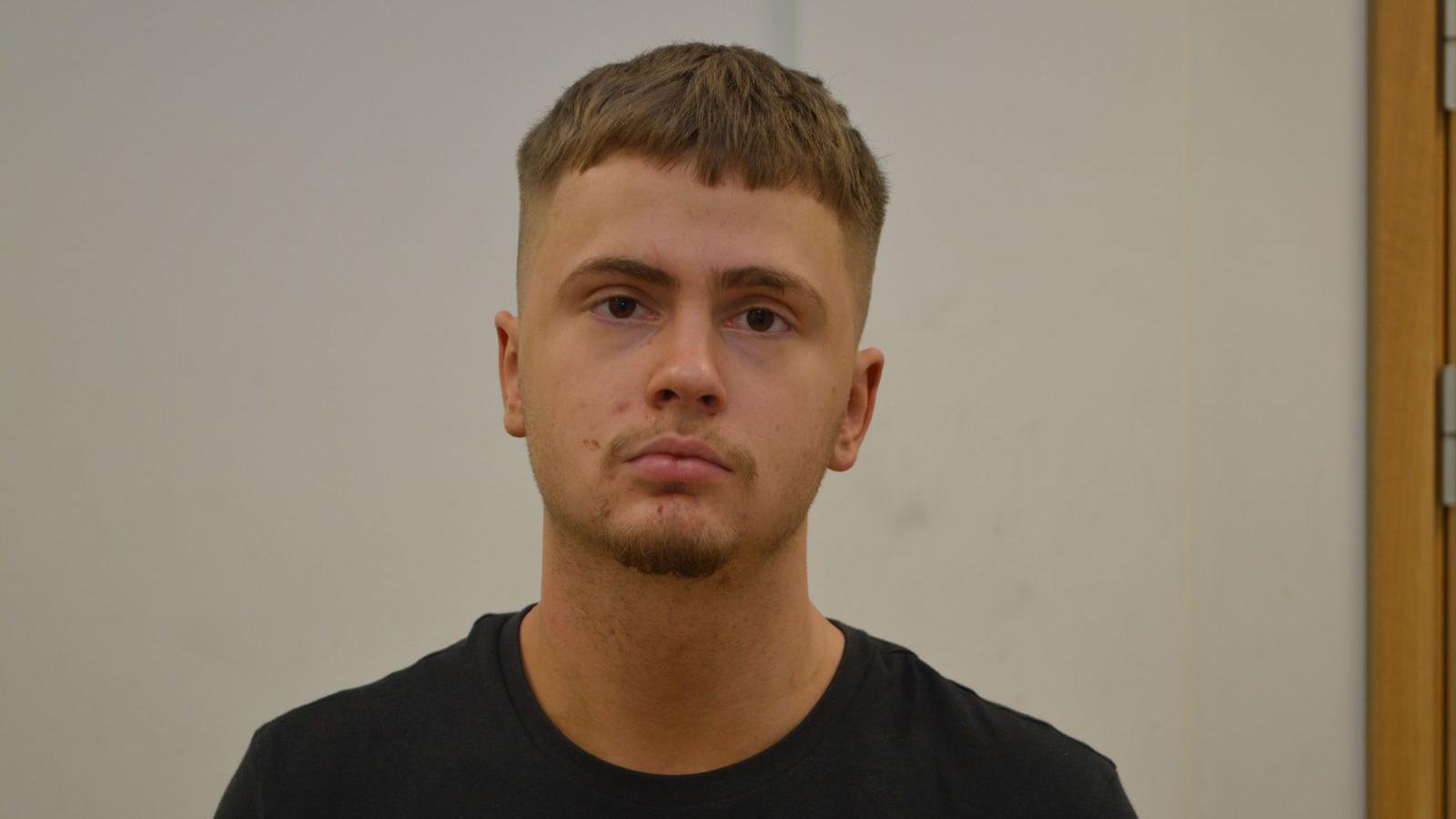 Additional article image