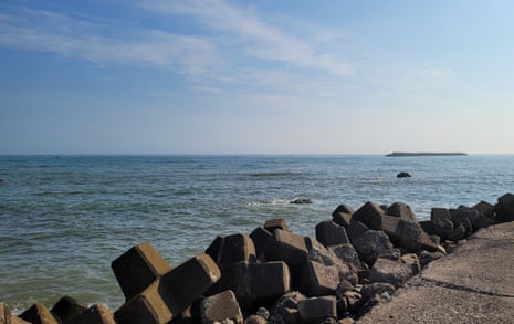 Additional article image