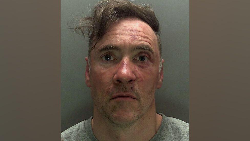 Additional article image