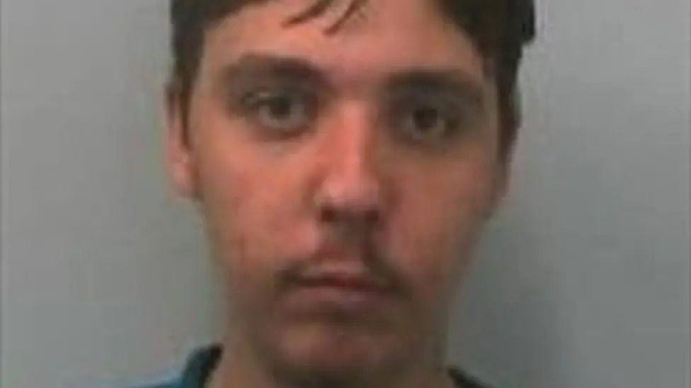 Additional article image