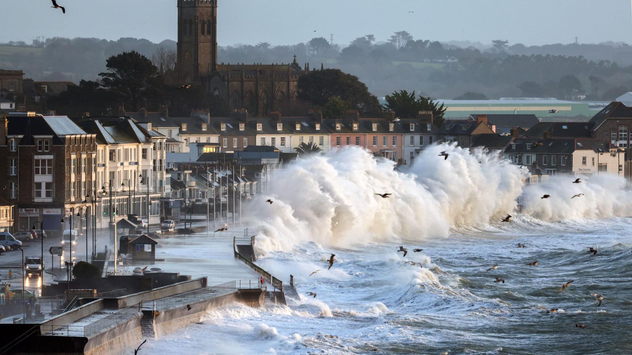 Additional article image