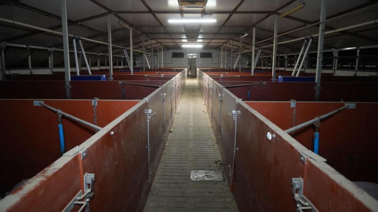 Additional article image