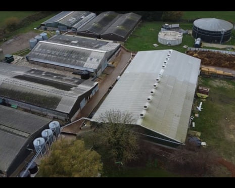 Additional article image