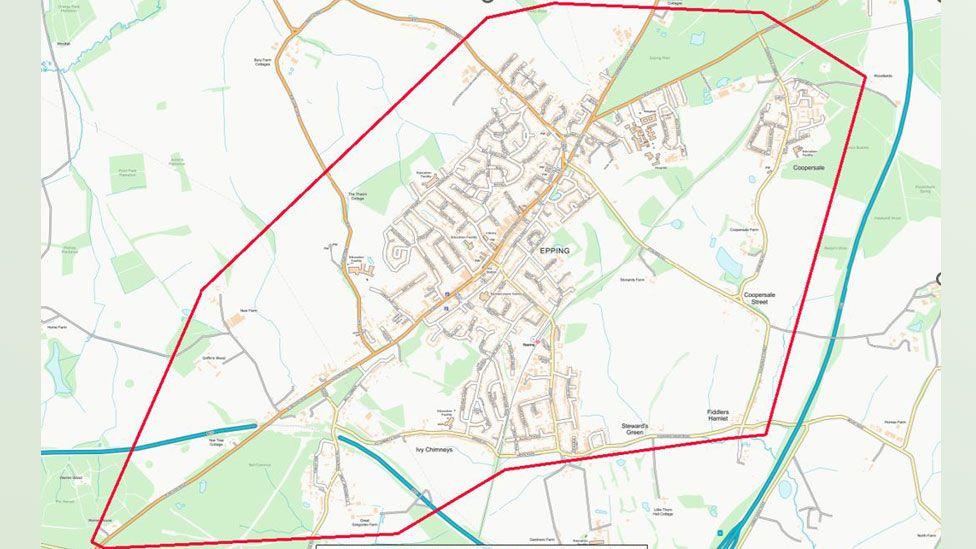 Additional article image