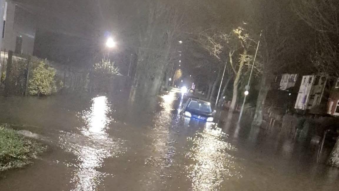 Additional article image