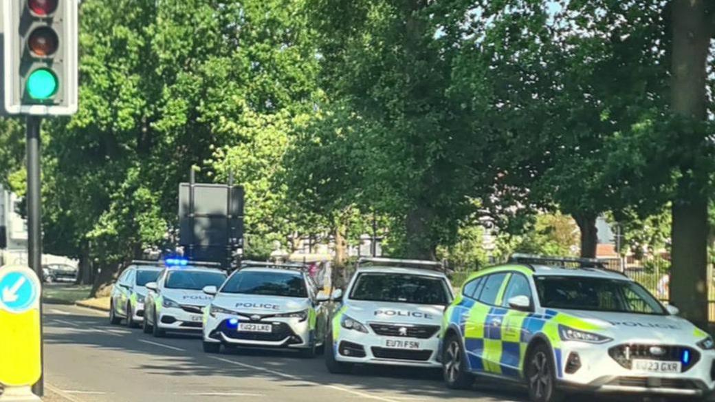 Additional article image