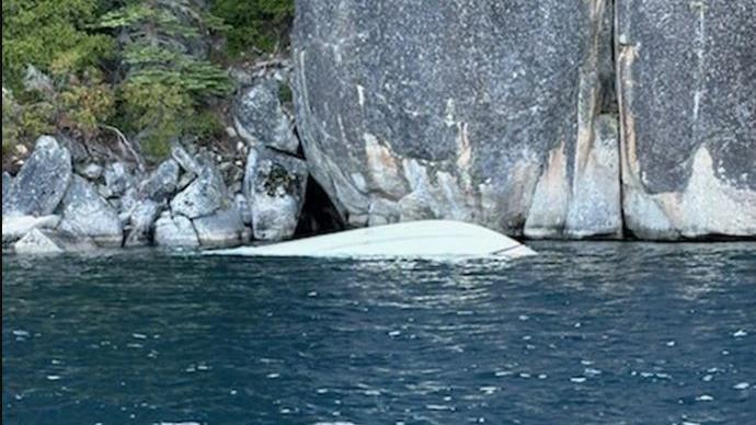 Additional article image