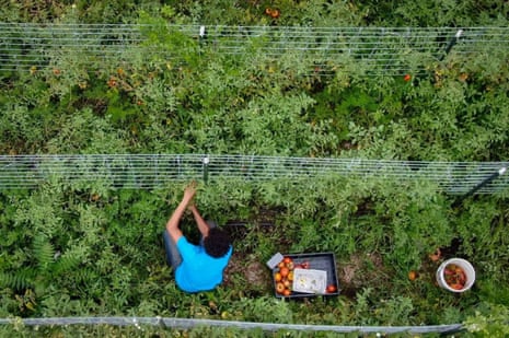 Additional article image