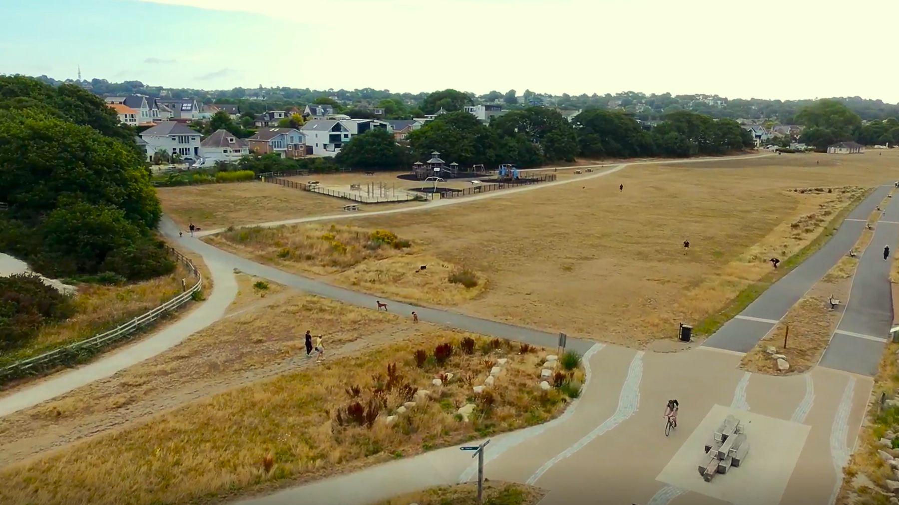 Additional article image