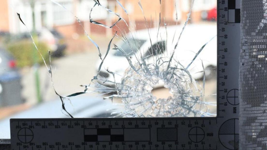 Additional article image