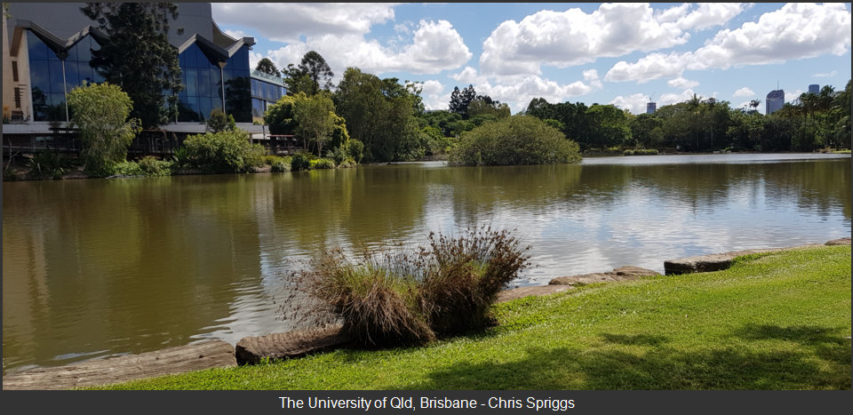 University Of Queensland